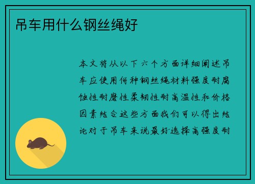 吊车用什么钢丝绳好