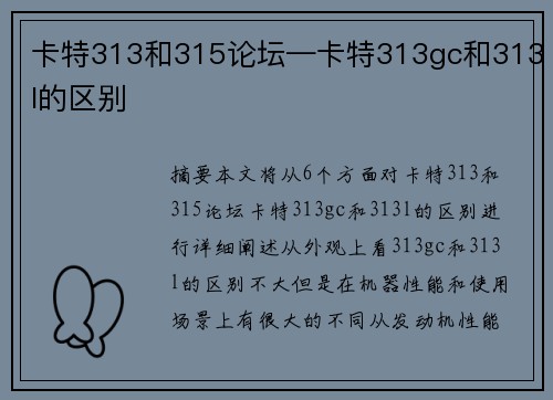 卡特313和315论坛—卡特313gc和313l的区别
