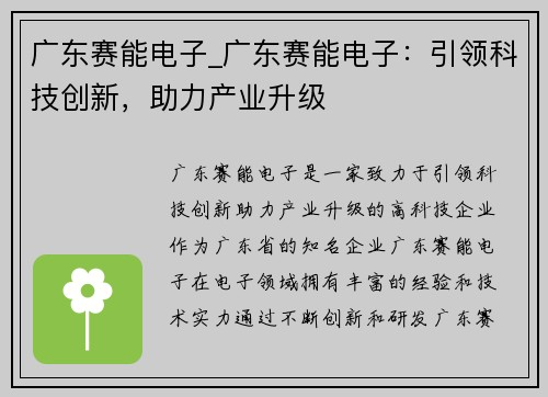 广东赛能电子_广东赛能电子：引领科技创新，助力产业升级