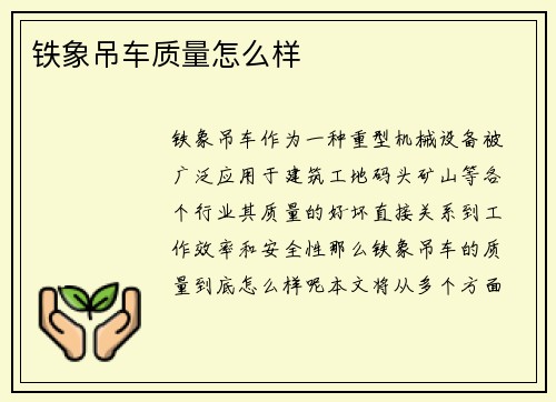 铁象吊车质量怎么样